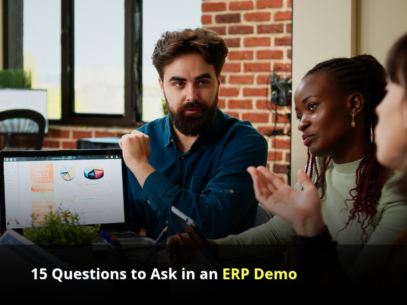 ERP software demo